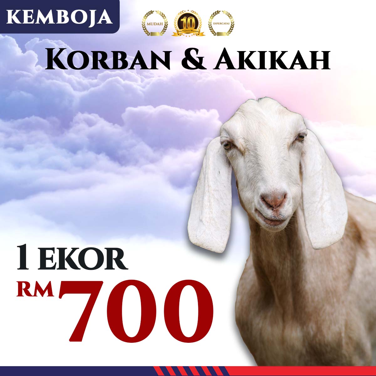 Kambing B